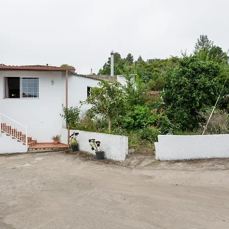 Casa Teide Icod Lejlighed *