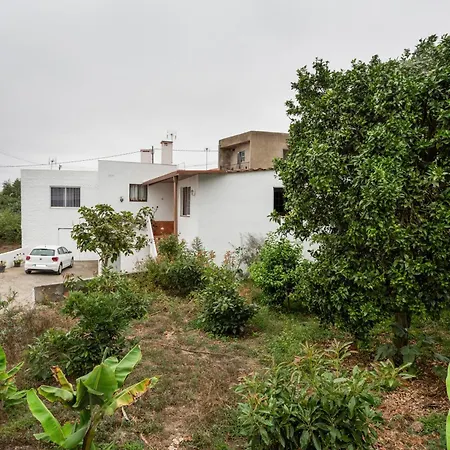 Casa Teide Icod Lejlighed
